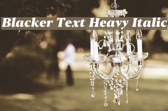 Blacker Text Heavy Italic Font examples
