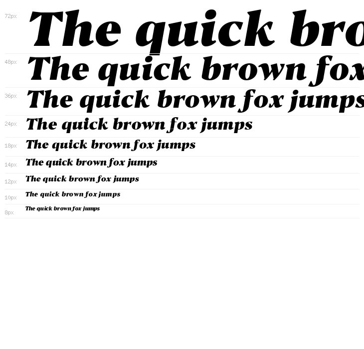 Blacker Text Heavy Italic Waterfall