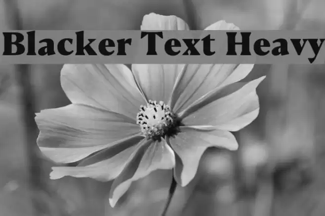 Blacker Text Heavy Font examples