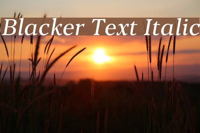 Blacker Text Italic Example 1