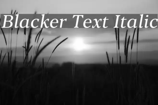 Blacker Text Italic Font examples