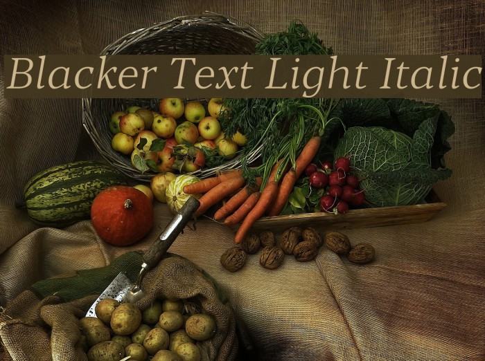Blacker Text Light Italic Font examples