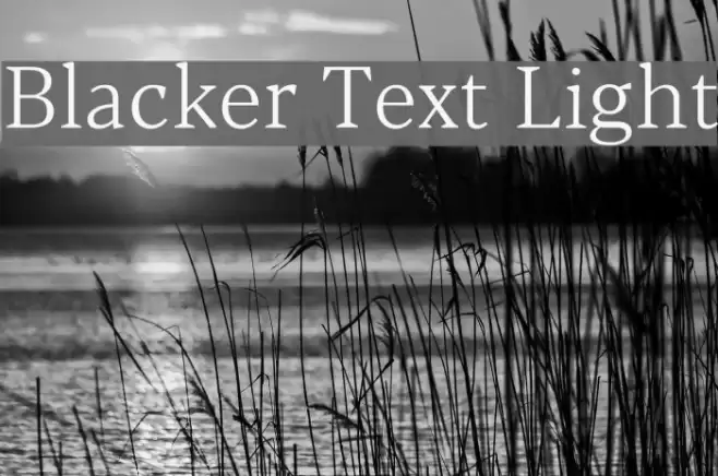 Blacker Text Light Font examples