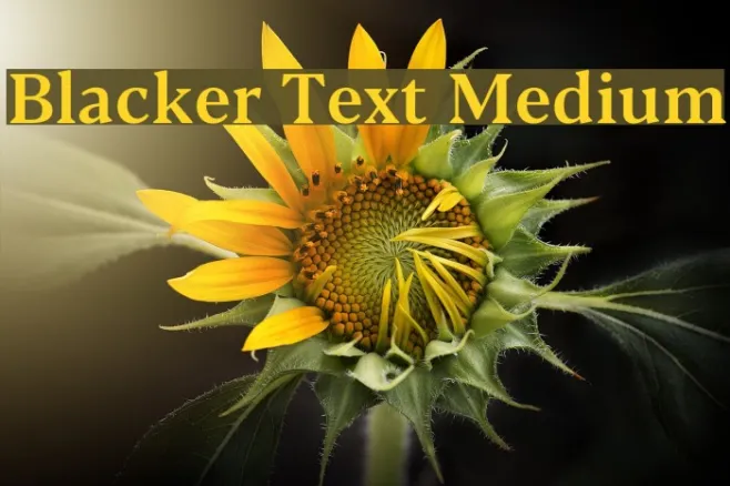 Blacker Text Medium Example 1