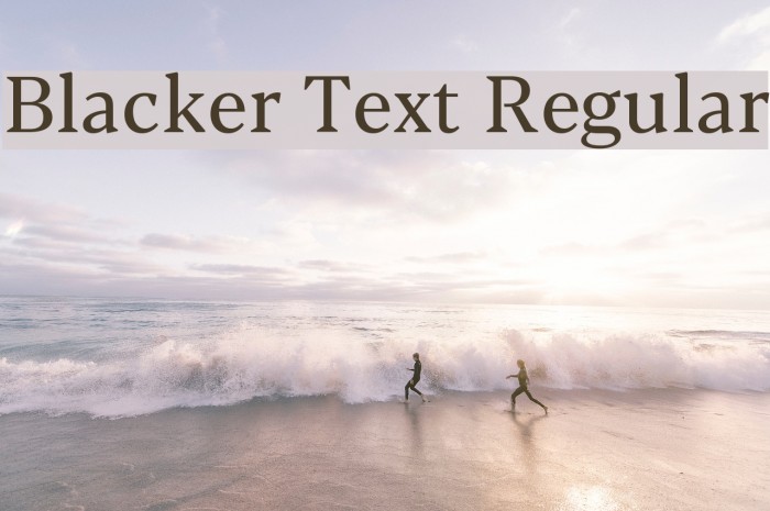 Blacker Text Regular Font examples