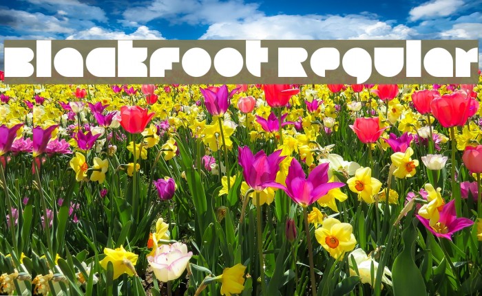 Blackfoot Regular Font examples