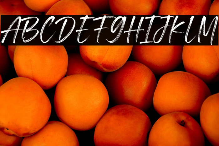 Blackhills Demo Example 3