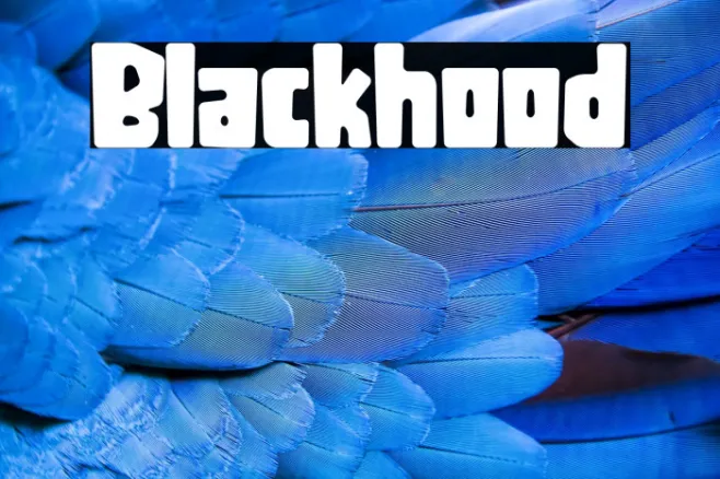 Blackhood Example 1