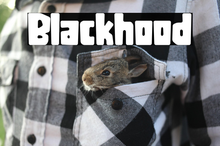 Blackhood Example 2