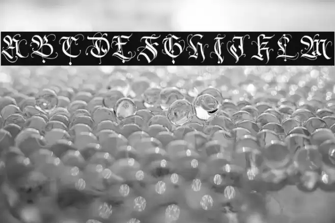 Blackhorse Polices examples