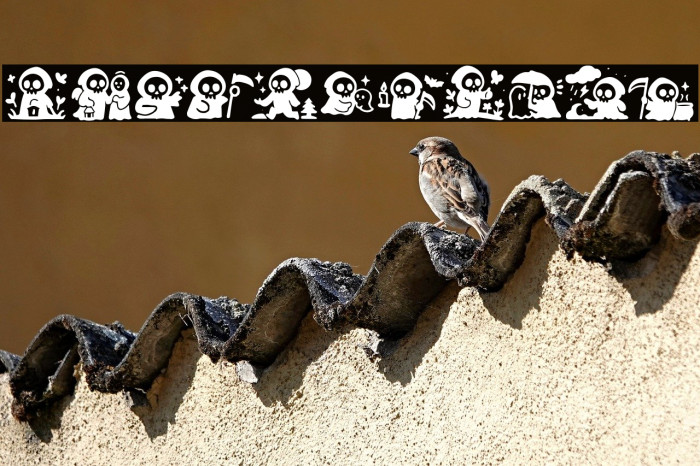 Blackhunter Example 2