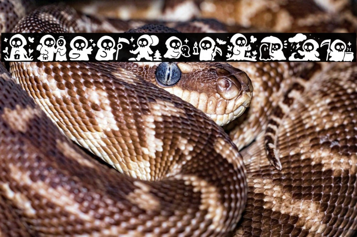 Blackhunter Example 3