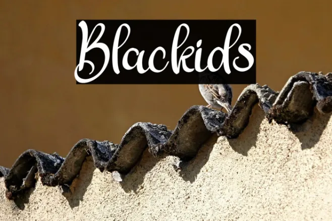 Blackids Example 1