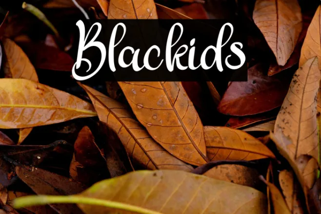 Blackids Example 2