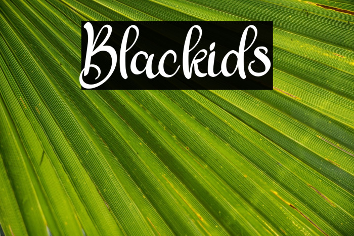 Blackids Example 3