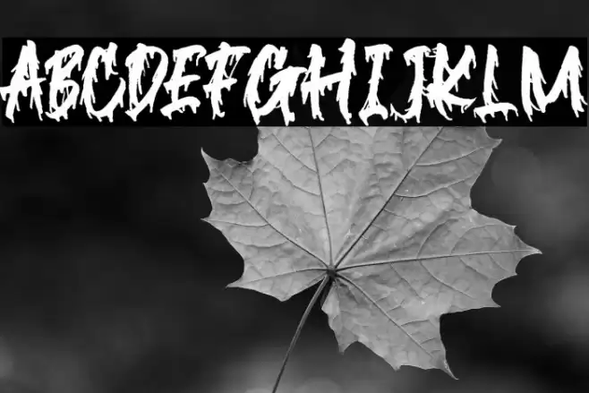 Blackink Font examples