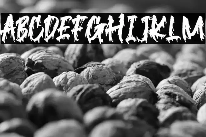 Blackink Font examples