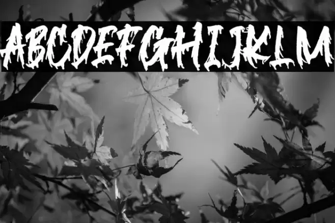 Blackink Font examples