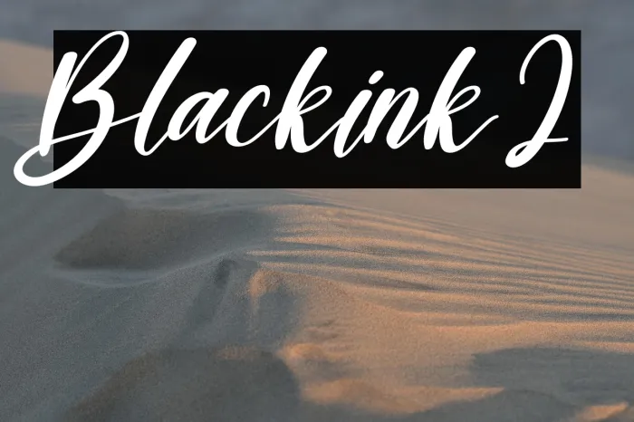 Blackink2 Example 2