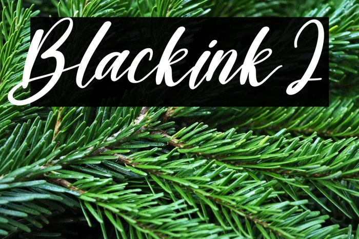 Blackink2 Example 3