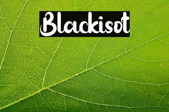 Blackisot Example 2