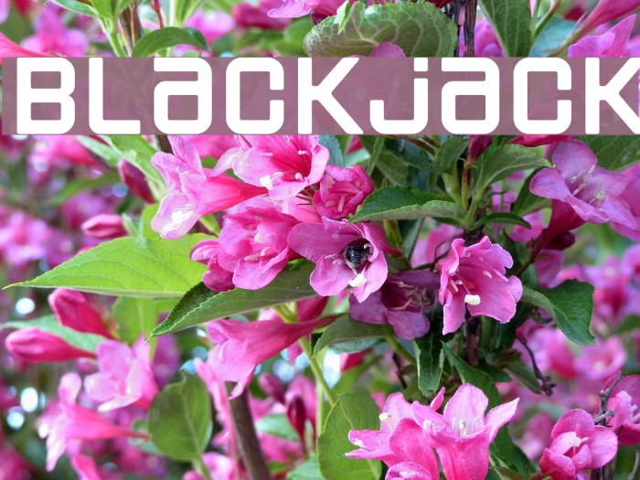 Blackjack Font examples