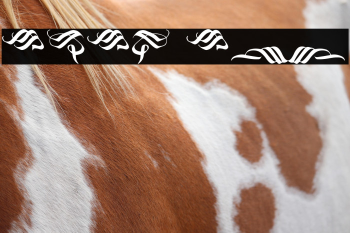 Blackland Ornament Example 1