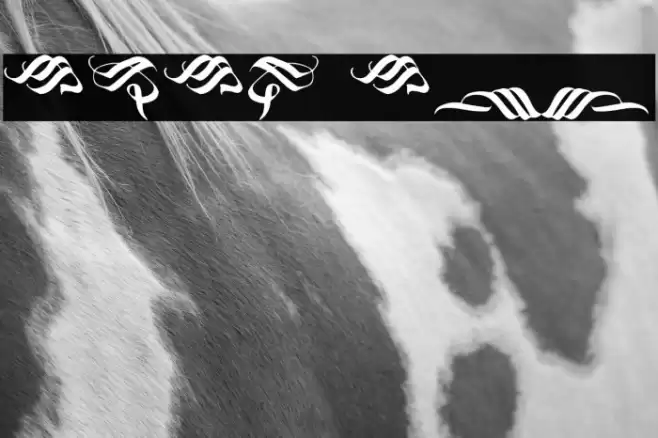 Blackland Ornament Font examples