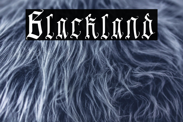 Blackland Example 1