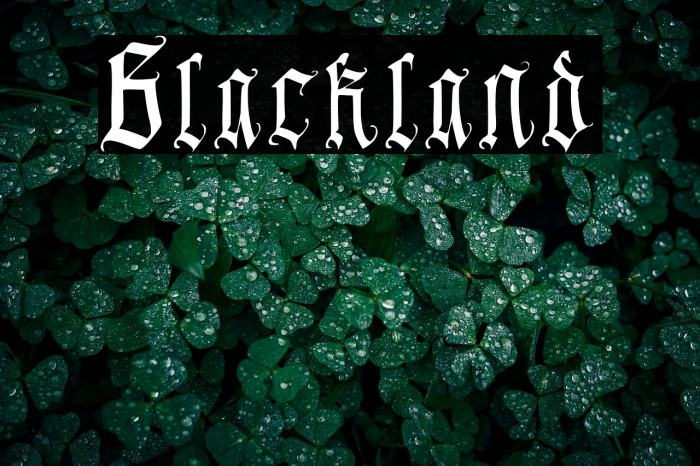 Blackland Example 1