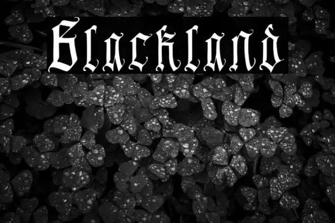 Blackland Font examples