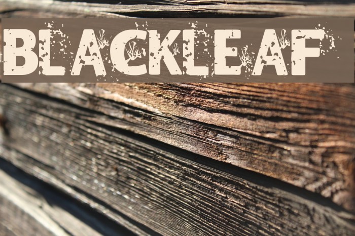 Blackleafs Example 2