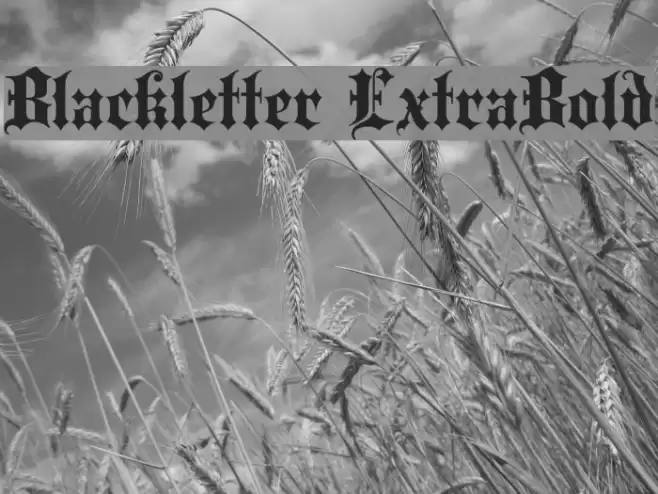 Blackletter ExtraBold Font examples