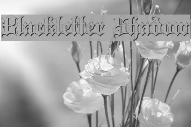 Blackletter Shadow Schriftart examples