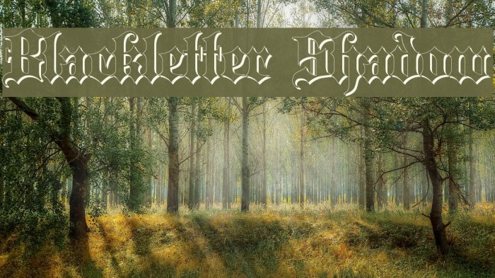 Blackletter Shadow Font examples