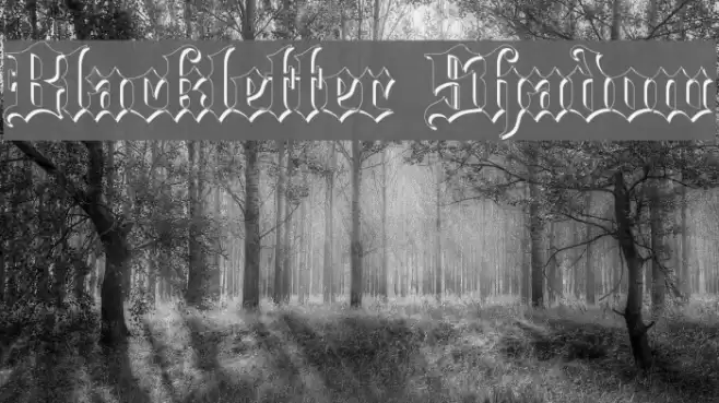 Blackletter Shadow Schriftart examples