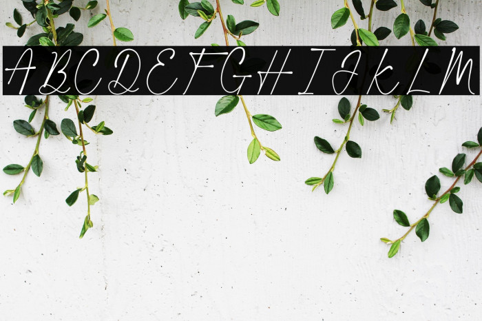 Blacklight Signature Example 3