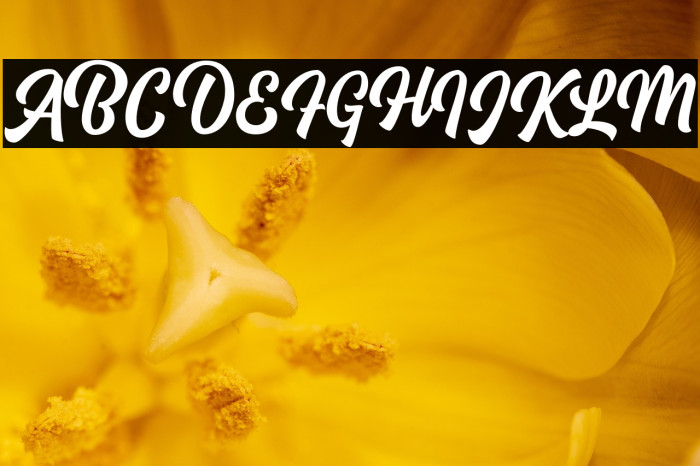 Blacklite Script DEMO-Regular Example 2