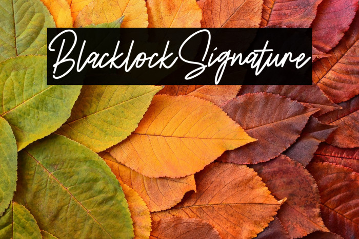 BlacklockSignature Example 2