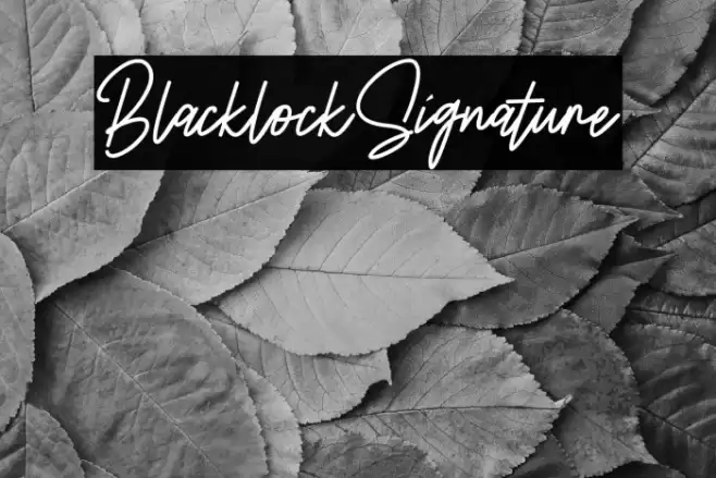 BlacklockSignature خط examples