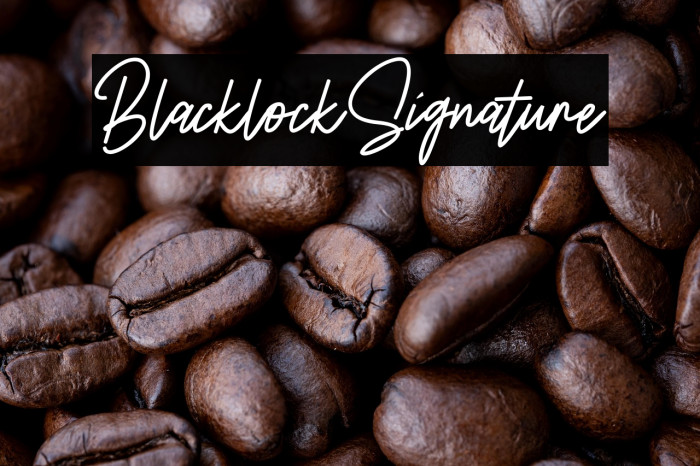 BlacklockSignature Example 3