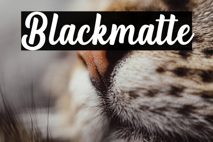 Blackmatte Example 3