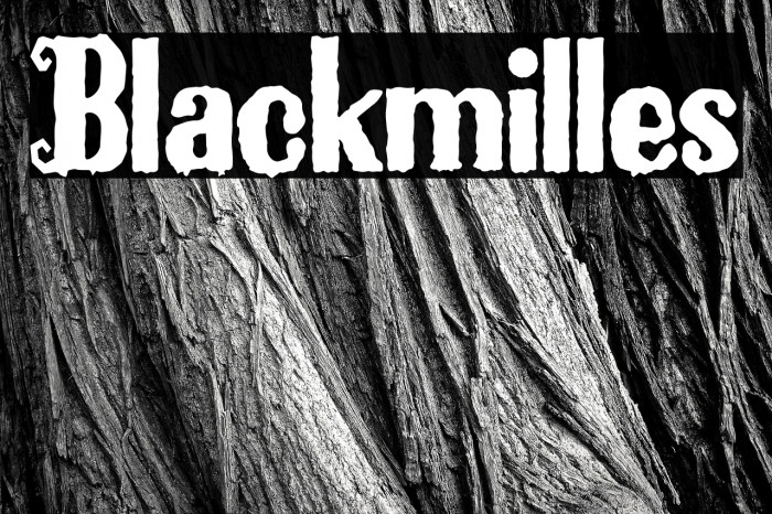 Blackmilles Example 2