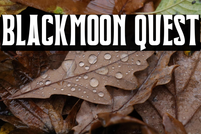 Blackmoon Quest Example 1