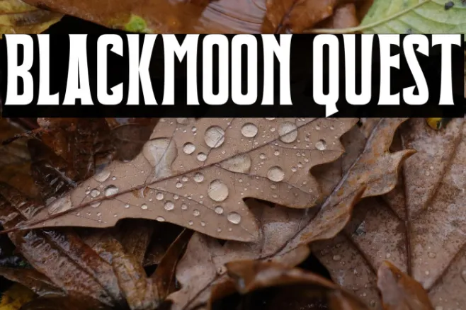 Blackmoon Quest Example 1
