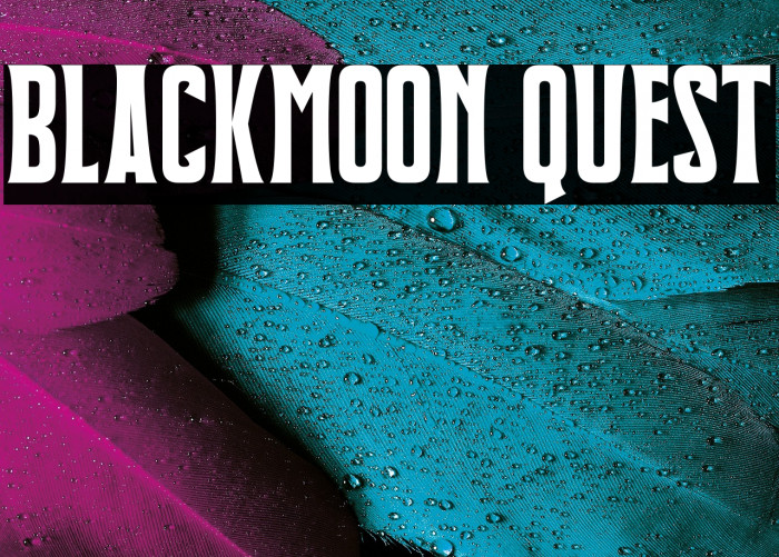 Blackmoon Quest Example 2