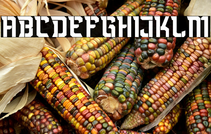 Blackmore Italic Example 3