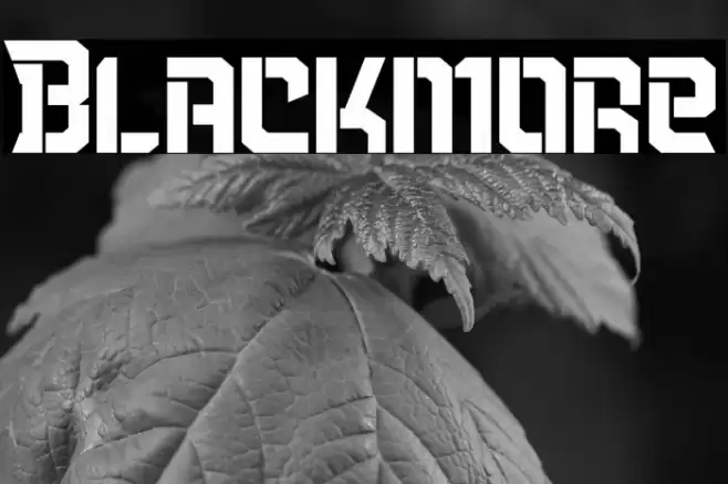 Blackmore Font examples