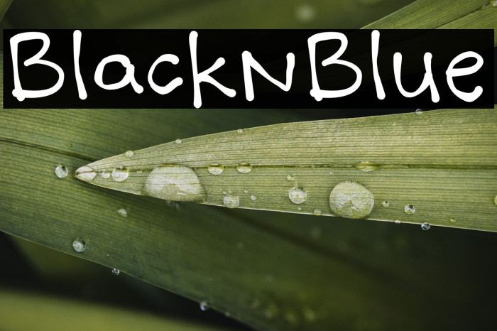 BlacknBlue Example 1