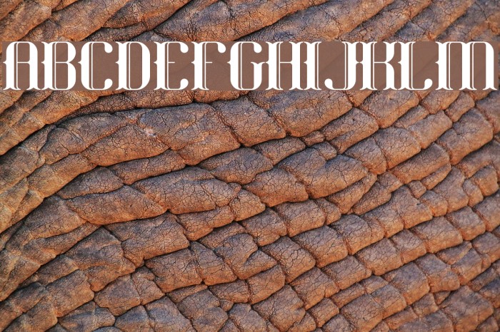 Blackoninaut BRK Font examples